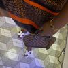 rukayatdamilola60