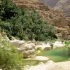 صور العفية