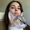 vetmedjess