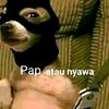 sayasiapa571