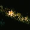 iii__088