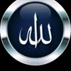 taherashabir10