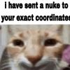 theonecatto