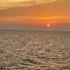 thattinhcailonphinh2011
