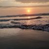 ifranz_z
