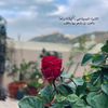 wd_695