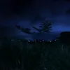 0nlyced