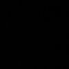 rtt529