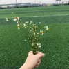 thuycute448