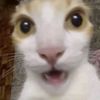 thanakornchiang