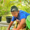 aomsin.chananthon