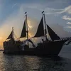 jacksparrow7977