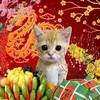 caodangnghetravinh9