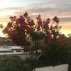 tatianatop7