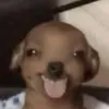 _aiofekeiya