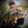 wyeperch