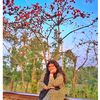praptipall
