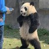 chinaruledtheword