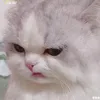 xianxian_hyun