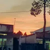 mglmao5