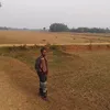 mdalinu2