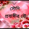 আরিবা ইসলাম আরিশা মনির আম্মু