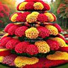 viknes.vinesh