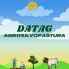 datag_agrosilvopastura88