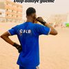falloudiopofficiel1