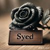 syedhamidali086