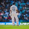 cricket_edit049