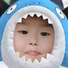 ฉาหลามม 🦈₊˚