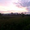 syarif_0321