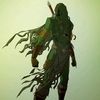 swampninja2