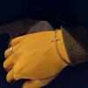 alex_acsta774