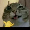 ldonothl