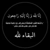 bashershexa322