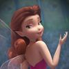 roseta._8