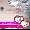 dyt7zo321kwq