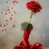 zineb.hajar7
