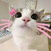 nmgwawaa