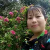 vandang242