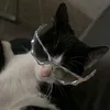 dyggfmrpiqhs
