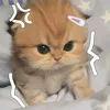 gemmyandshy