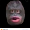 monkeyman697809