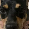 hmitnmeo