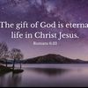 shirleymartin2625