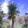lucely.osa