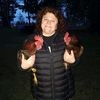citychickenlady