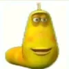 pinojelly9